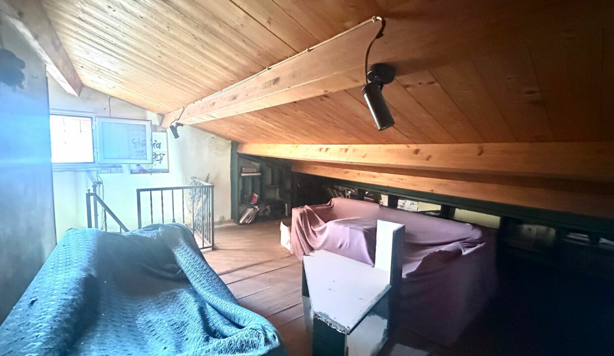 WhatsApp Image 2025-01-28 at 15.30.42