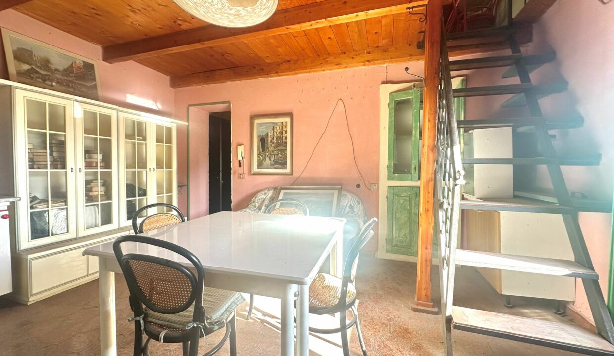 WhatsApp Image 2025-01-28 at 15.30.43(1)