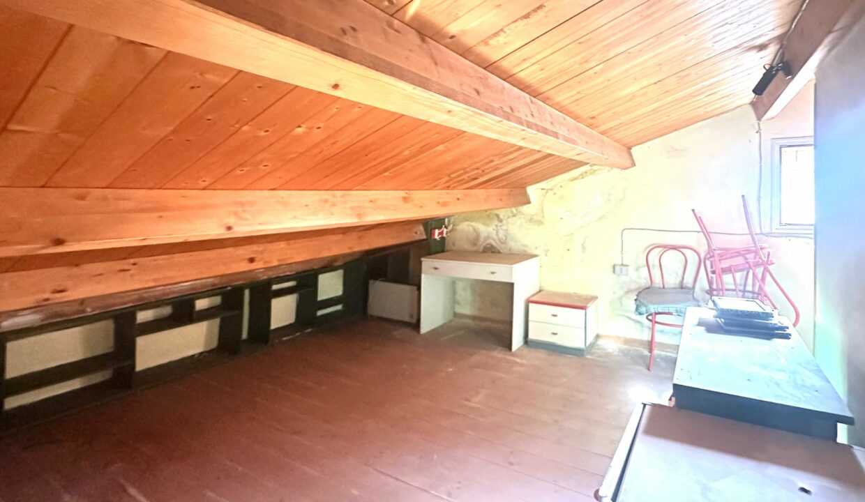 WhatsApp Image 2025-01-28 at 15.30.43(3)