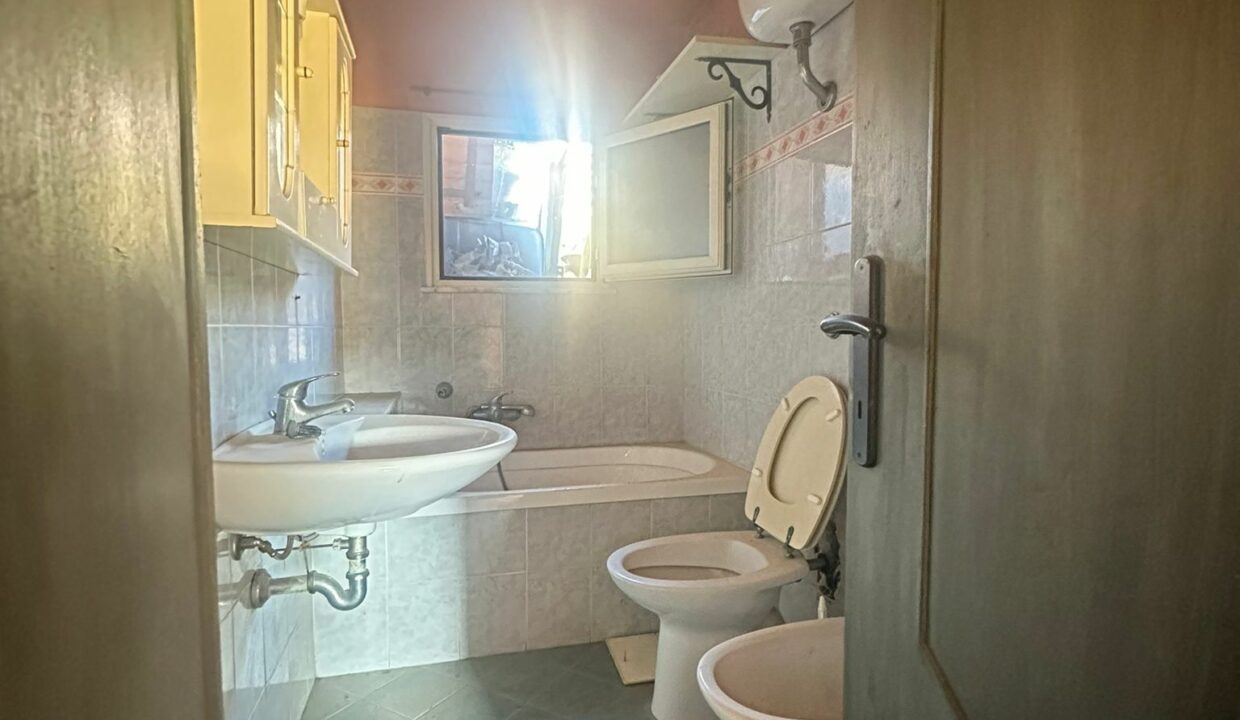 WhatsApp Image 2025-01-28 at 15.30.44(2)