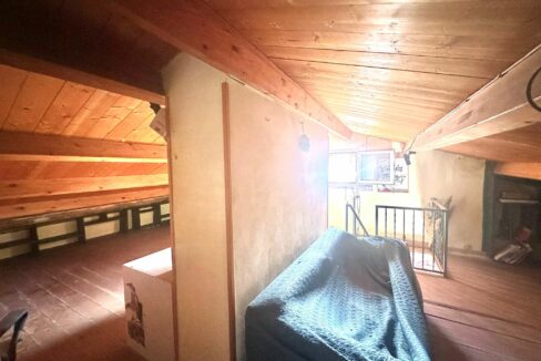 WhatsApp Image 2025-01-28 at 15.30.44(3)