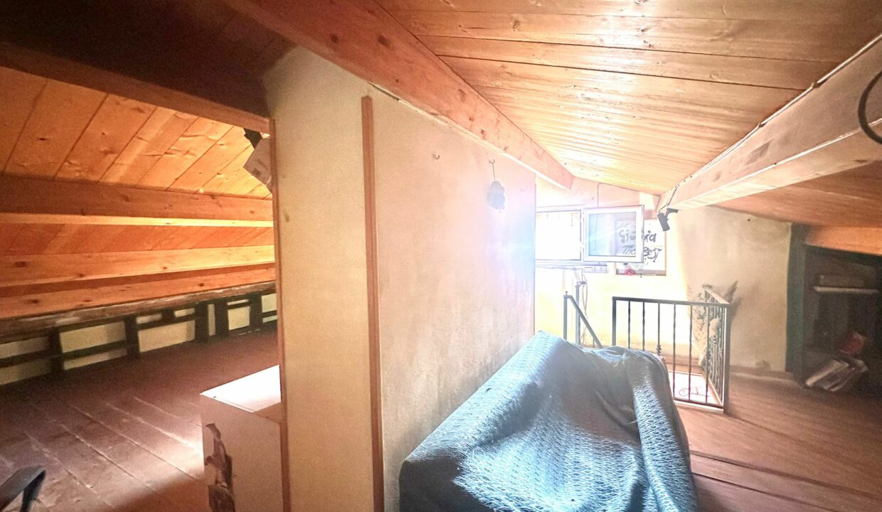 WhatsApp Image 2025-01-28 at 15.30.44(4)