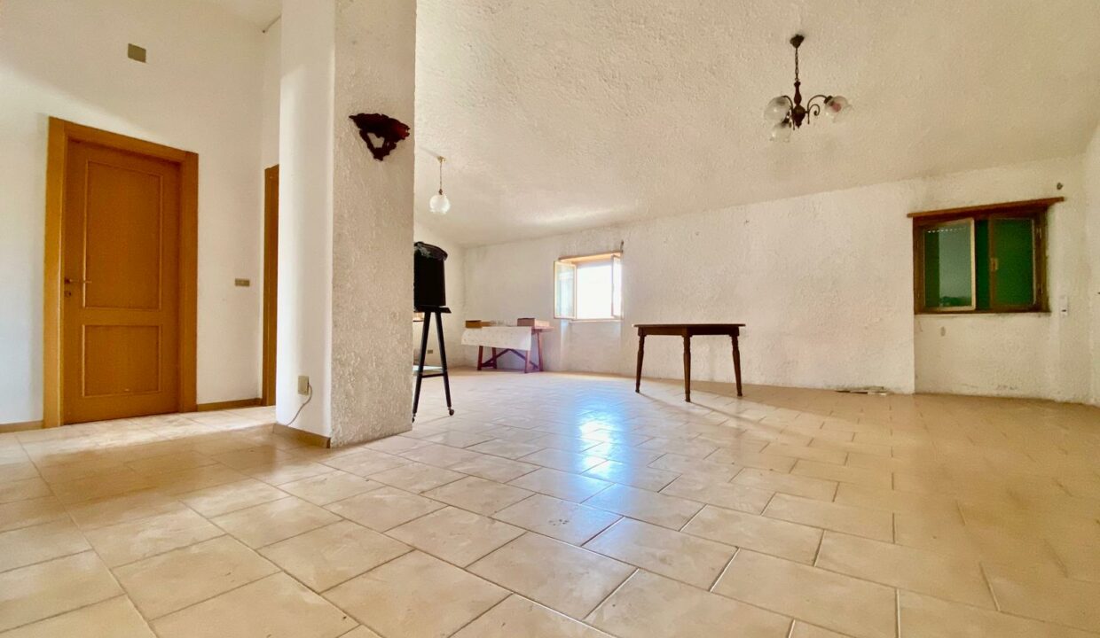 WhatsApp Image 2025-04-14 at 17.37.40(11)