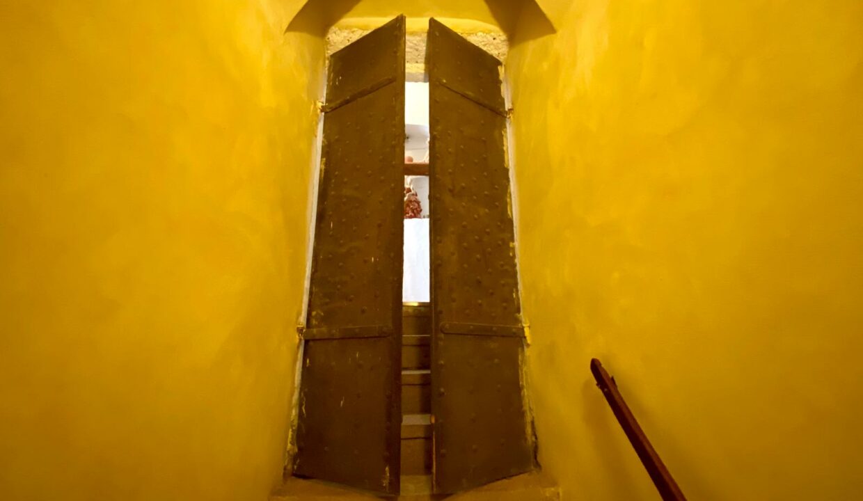 WhatsApp Image 2025-05-29 at 17.36.01(15)