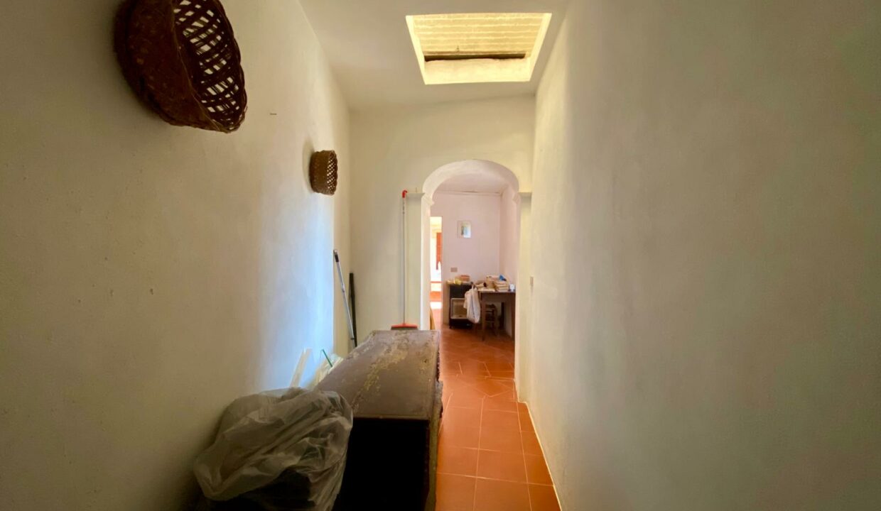 WhatsApp Image 2025-05-29 at 17.36.02(15)