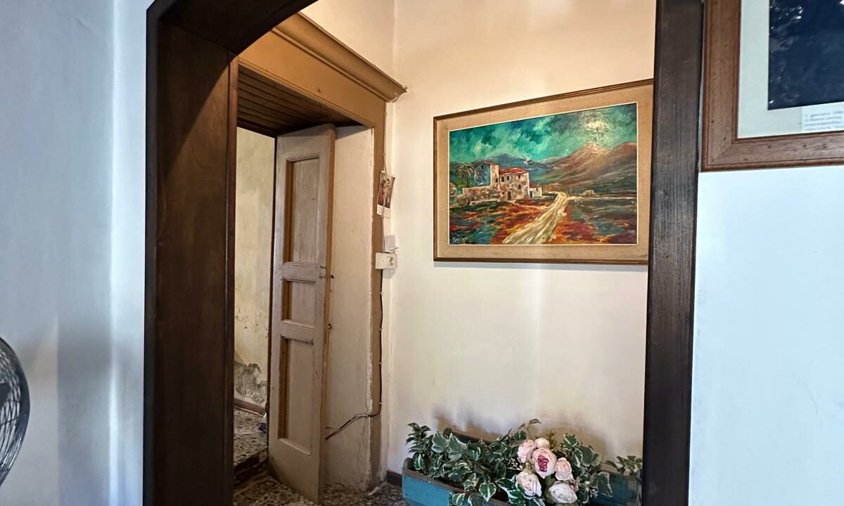 WhatsApp Image 2025-05-29 at 17.40.28(8)