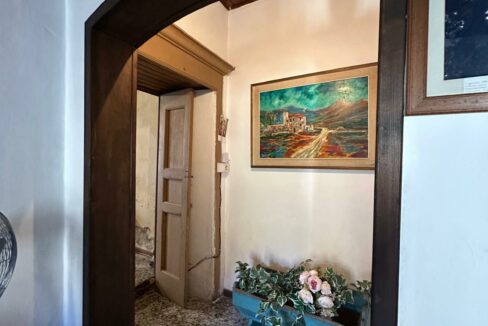 WhatsApp Image 2025-05-29 at 17.40.28(8)