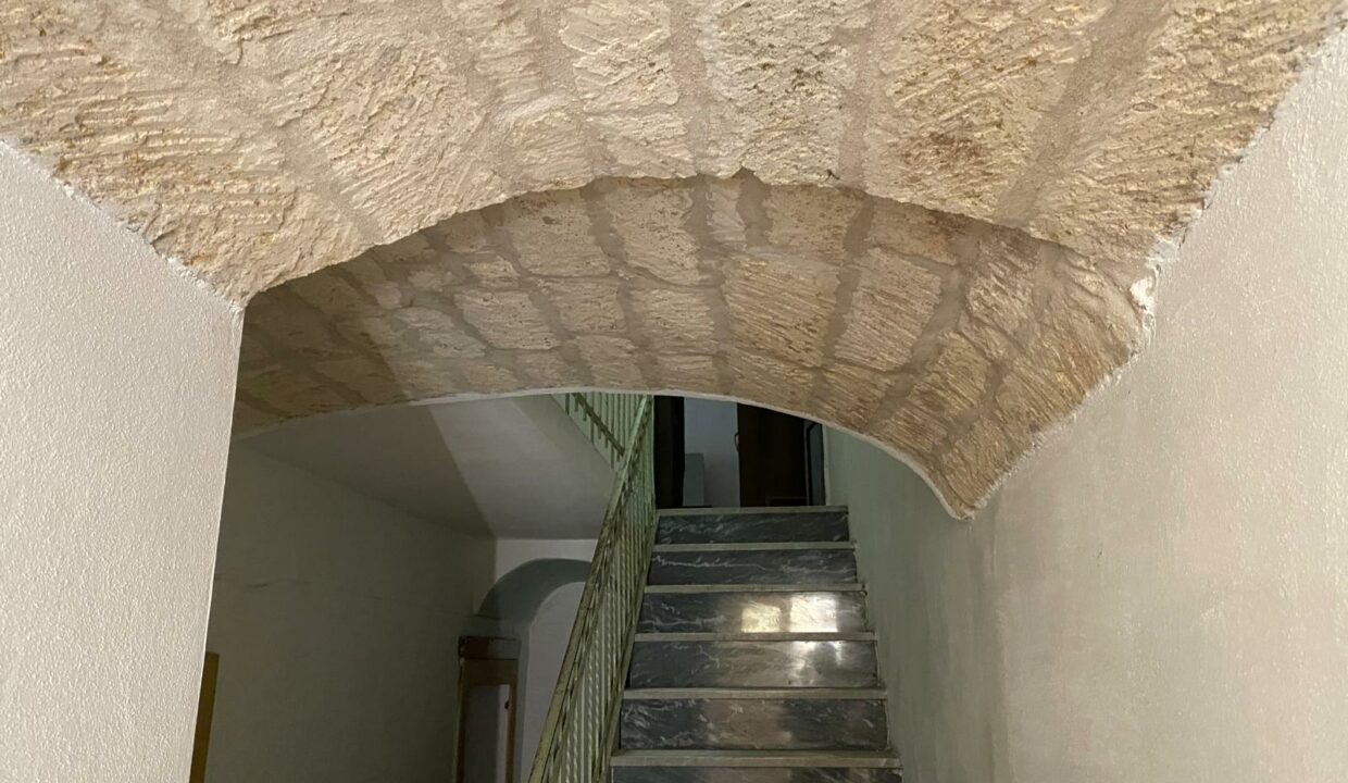 WhatsApp Image 2025-11-06 at 19.42.35(3)