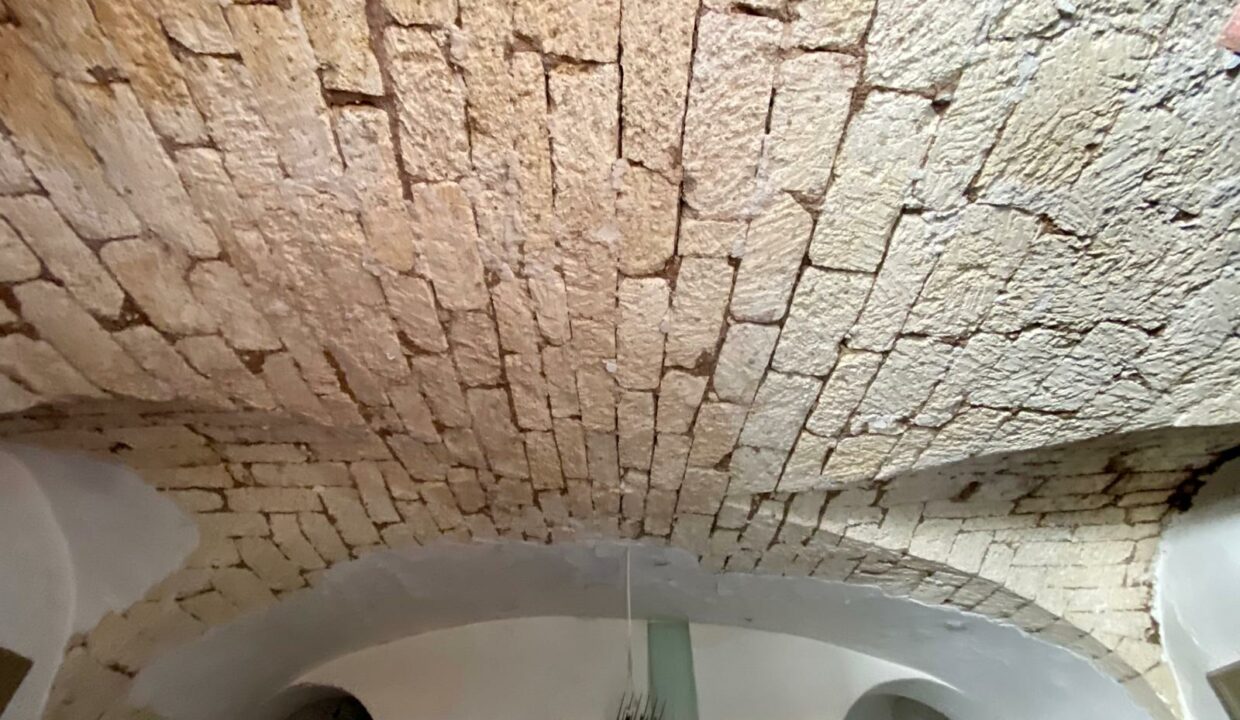 WhatsApp Image 2025-11-06 at 20.06.29(20)