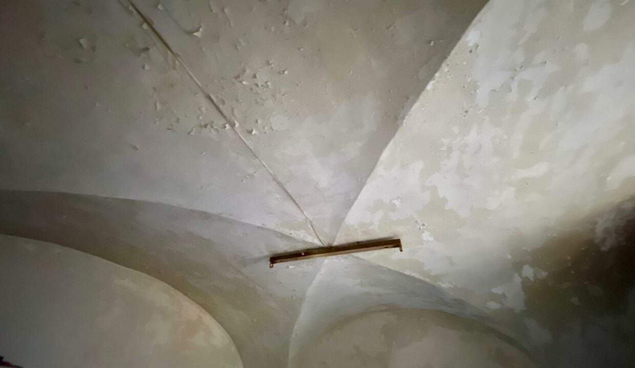 WhatsApp Image 2025-11-06 at 20.06.29(23)