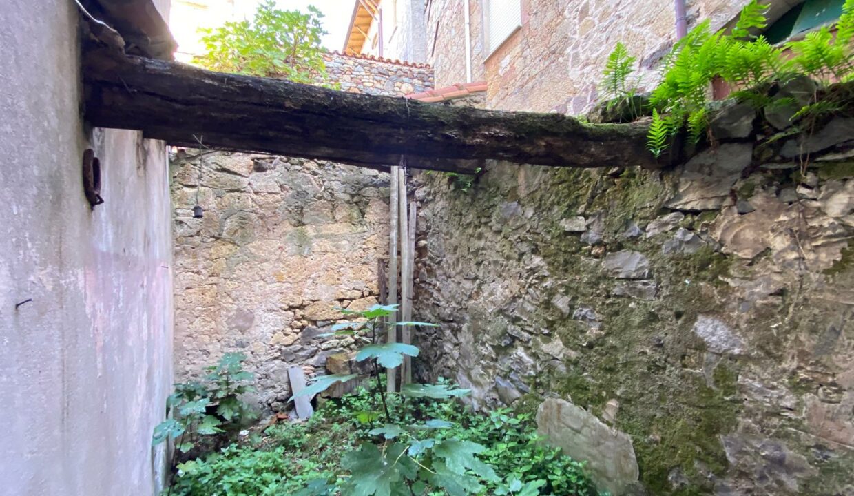 WhatsApp Image 2025-11-06 at 20.06.29(25)