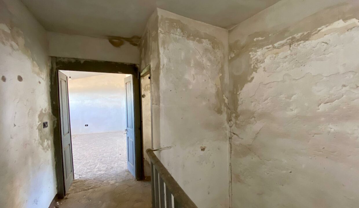 WhatsApp Image 2025-11-06 at 20.06.29(4)