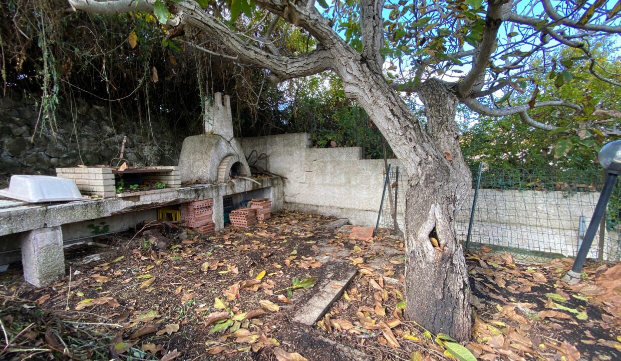 WhatsApp Image 2025-11-18 at 12.26.05